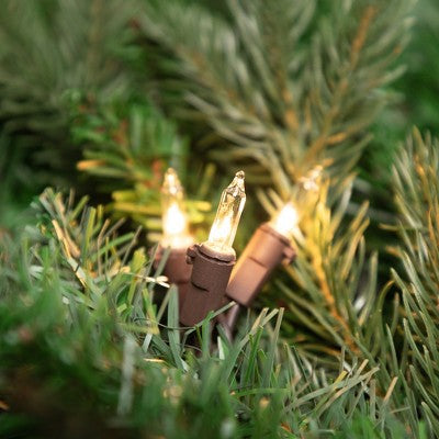  Northlight Mini Incandescent Christmas Lights - Clear - 4' Brown Wire - 20ct