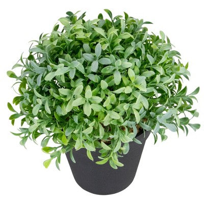  Northlight 7.5" Potted Green Artificial Boxwood Plant