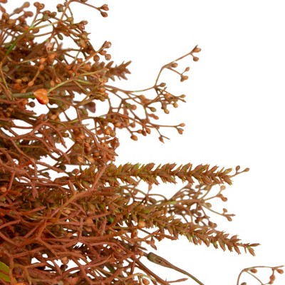  Northlight 32" Brown Fall Grass Autumn Harvest Artificial Wreath – Unlit