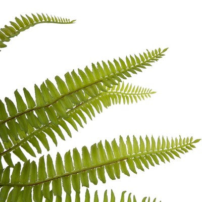 Northlight 12" Artificial Boston Fern Plant In Aztec Pattern Ceramic Pot