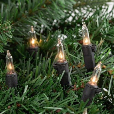  Northlight Mini Incandescent Christmas Lights - Clear - 20.25' Black Wire - 100ct