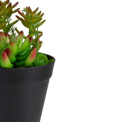  Northlight 8" Mixed Succulent Artificial Plant Arrangement In Pot - Green/Red