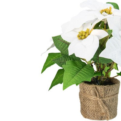  Northlight 11.75" LED Artificial White Poinsettia Potted Plant - Clear Lights