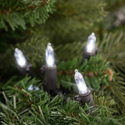  Northlight LED Mini Christmas Lights - Pure White - 33' Black Wire - 100ct