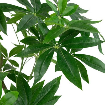  Northlight 4' Artificial Unbraided Potted Green Money Tree