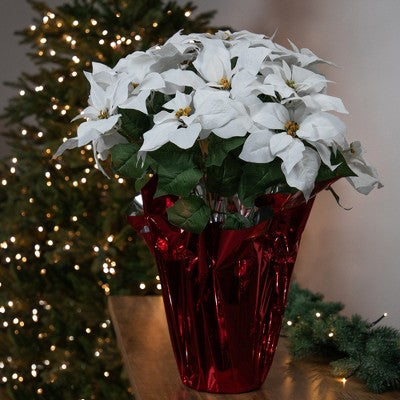  Northlight 26" White Artificial Christmas Poinsettia In Red Wrapped Base