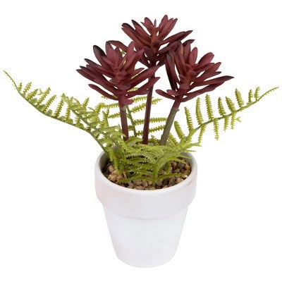  Northlight Succulent Fern In Ceramic Pot - 8"