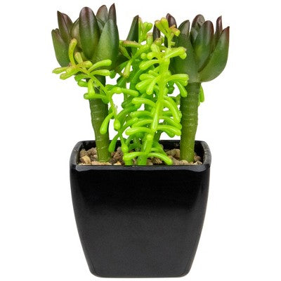  Northlight 6" Potted Green Artificial Succulent Arrangement