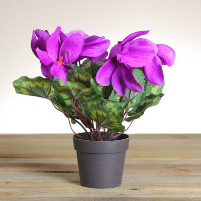  Northlight 12" Purple Potted Artificial Cyclamen Floral Arrangement
