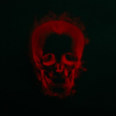  Northlight Halloween Skull Outdoor Light Show Projector - 8"