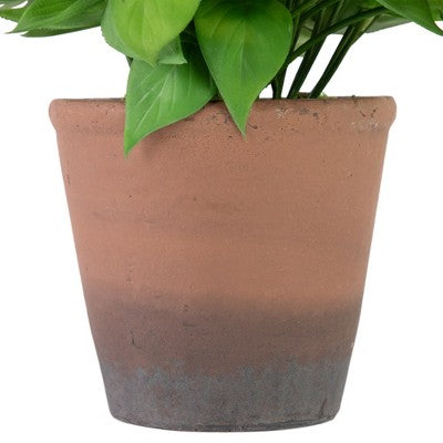  Northlight Real Touch™ Artificial Peperomia Watermelon Begonia Plant In Terracotta Style Pot - 7"