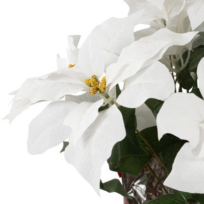 Northlight 26" White Artificial Christmas Poinsettia In Red Wrapped Base