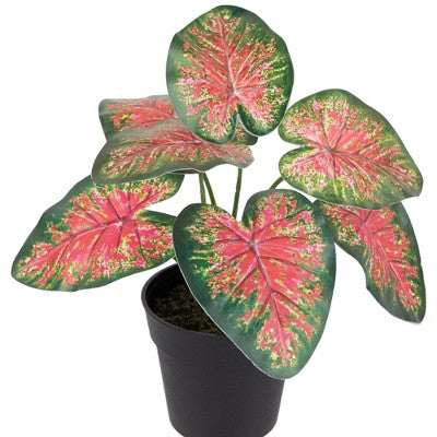  Northlight 8" Rohdea Spring Floral Artificial Potted Plant