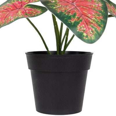  Northlight 8" Rohdea Spring Floral Artificial Potted Plant