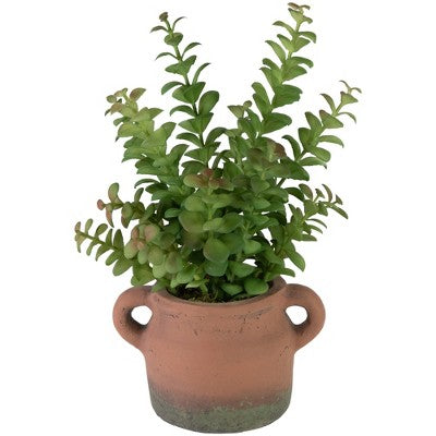  Northlight Real Touch™ Artificial Privet Plant In Vintage Milk Can Style Earthenware Pot - 14"