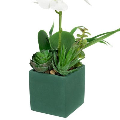  Northlight 12" Orchid And Succulents Artificial Potted Flower Arrangement - Green/White