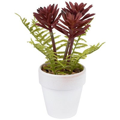  Northlight Succulent Fern In Ceramic Pot - 8"