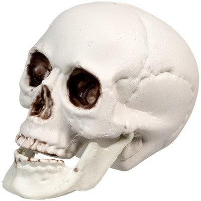  Northlight Skeleton Skull Halloween Decorations - 3.5" - Pack Of 6