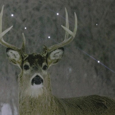  Northlight Fiber Optic Lighted Majestic Buck Canvas Wall Art 12" X 15.75"