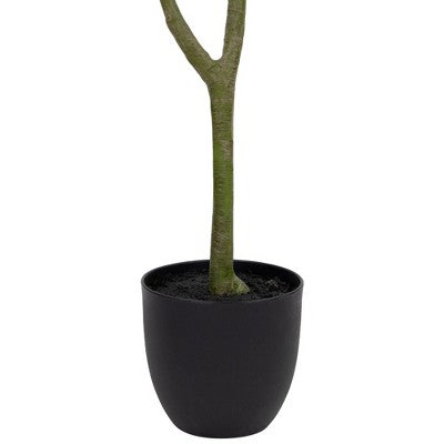  Northlight 4' Artificial Unbraided Potted Green Money Tree