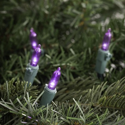  Northlight LED Mini Christmas Lights - Purple -33' Green Wire - 100ct