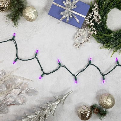  Northlight 50ct Purple LED Mini Christmas Lights, 16.25ft Green Wire