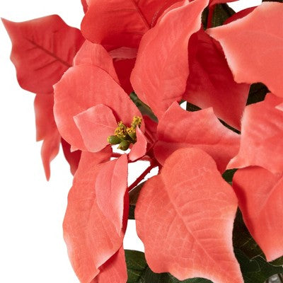  Northlight 28" Dark Pink Artificial Christmas Poinsettia With Gold Wrapped Base