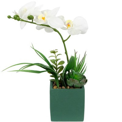  Northlight 12" Orchid And Succulents Artificial Potted Flower Arrangement - Green/White