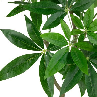  Northlight 4' Artificial Unbraided Potted Green Money Tree