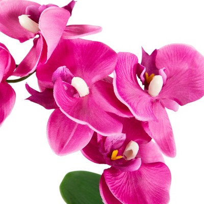  Northlight 12" Orchid With Succulent Artificial Potted Plant - Pink