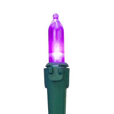  Northlight LED Mini Christmas Lights - Purple -33' Green Wire - 100ct
