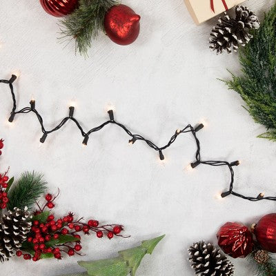  Northlight Mini Incandescent Christmas Lights - Clear - 20.25' Black Wire - 100ct