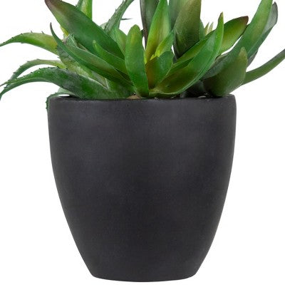  Northlight 11" Mixed Succulent Plant Artificial Potted Arrangement - Green/Black