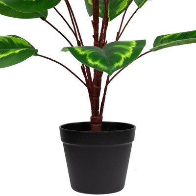  Northlight 30" Two-Tone Green Calathea Artificial Potted Plant