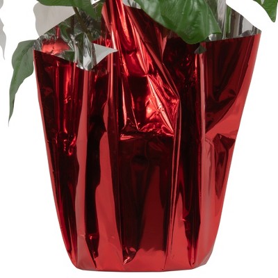  Northlight 14.5" White Artificial Christmas Poinsettia With Red Wrapped Base