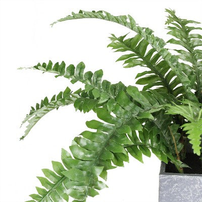  Northlight 13" Boston Fern Artificial Plant In Square Pot - Green/Gray