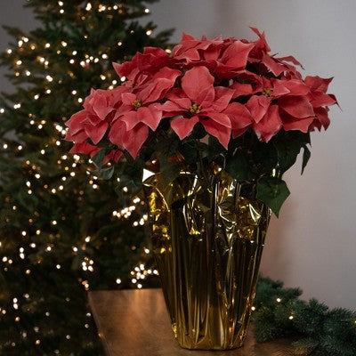  Northlight 28" Dark Pink Artificial Christmas Poinsettia With Gold Wrapped Base