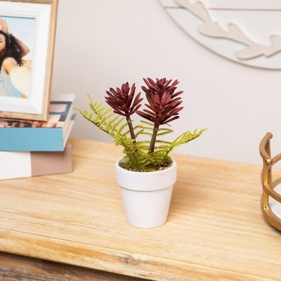  Northlight Succulent Fern In Ceramic Pot - 8"