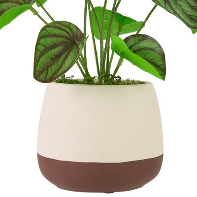  Northlight 10.25" Artificial Peperomia Plant In Two-Tone Ceramic Pot