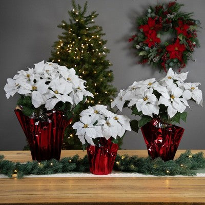  Northlight 22" White Artificial Christmas Poinsettia Flowers With Red Wrapped Base