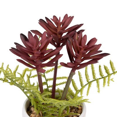  Northlight Succulent Fern In Ceramic Pot - 8"