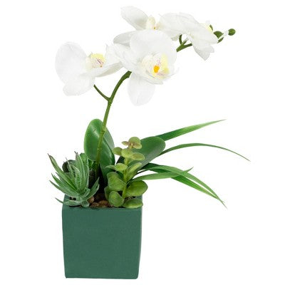  Northlight 12" Orchid And Succulents Artificial Potted Flower Arrangement - Green/White