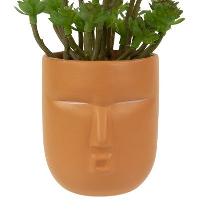  Northlight 5.5" Mini Artificial Succulent In Face Planter Pot