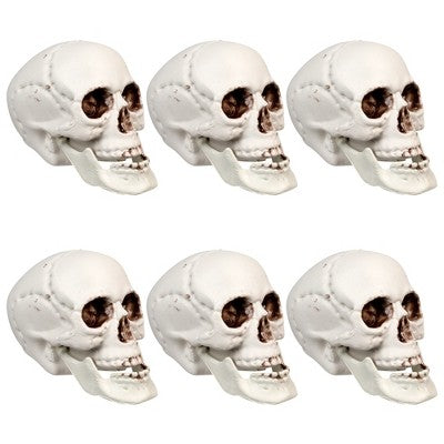  Northlight Skeleton Skull Halloween Decorations - 3.5" - Pack Of 6