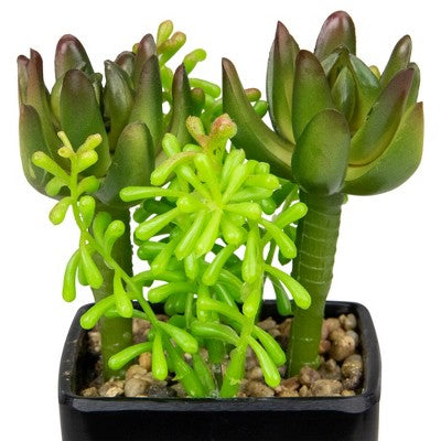  Northlight 6" Potted Green Artificial Succulent Arrangement