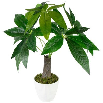 Northlight 18.5" Artificial Guiana Chestnut Plant In White Pot