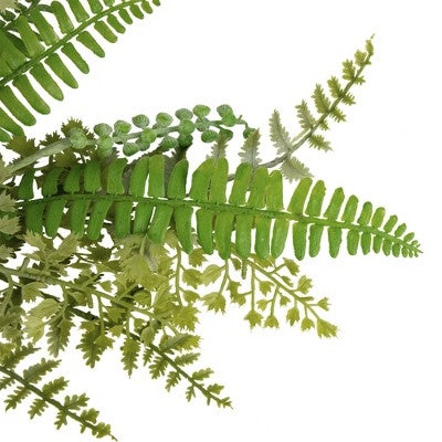  Northlight Fern And Succulents Artificial Spring Teardrop Swag - 28"
