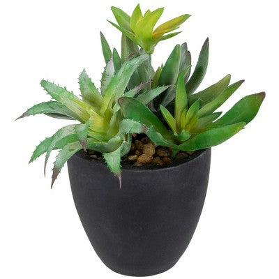  Northlight 11" Mixed Succulent Plant Artificial Potted Arrangement - Green/Black
