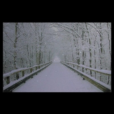  Northlight Large Fiber Optic Lighted Winter Wooden Bridge Canvas Wall Art 23.5" X 15.5"