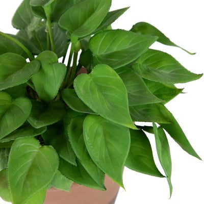  Northlight Real Touch™ Artificial Peperomia Watermelon Begonia Plant In Terracotta Style Pot - 7"